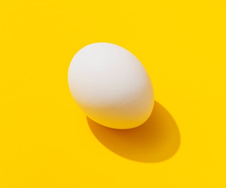 egg-picture